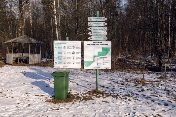 Зимний Мытищинский лесопарк