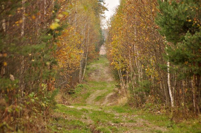 Осень в Подмосковье
