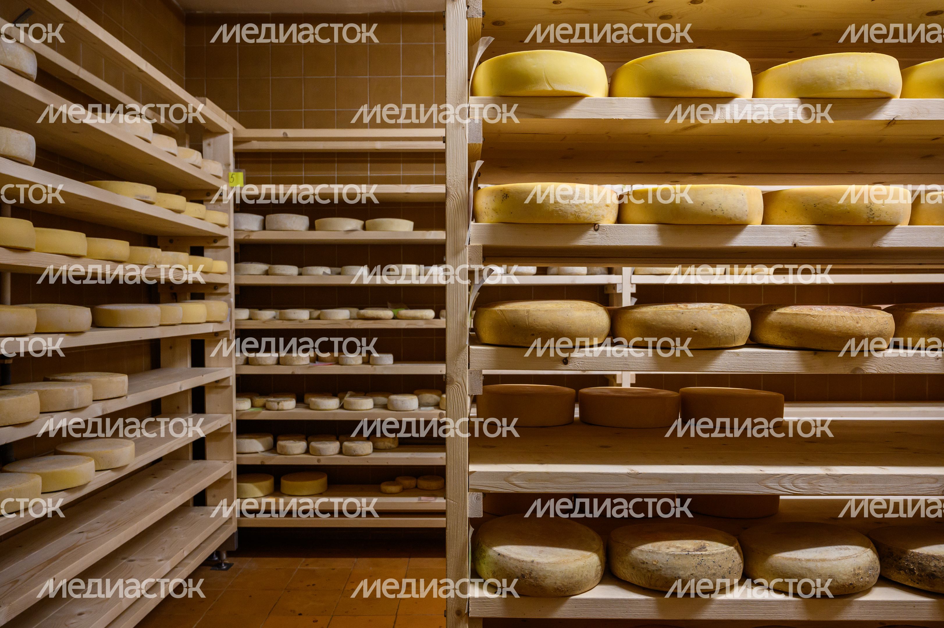 Экоферма «Былинкино» в Луховицах – козья ферма, сыроварня и экоотель