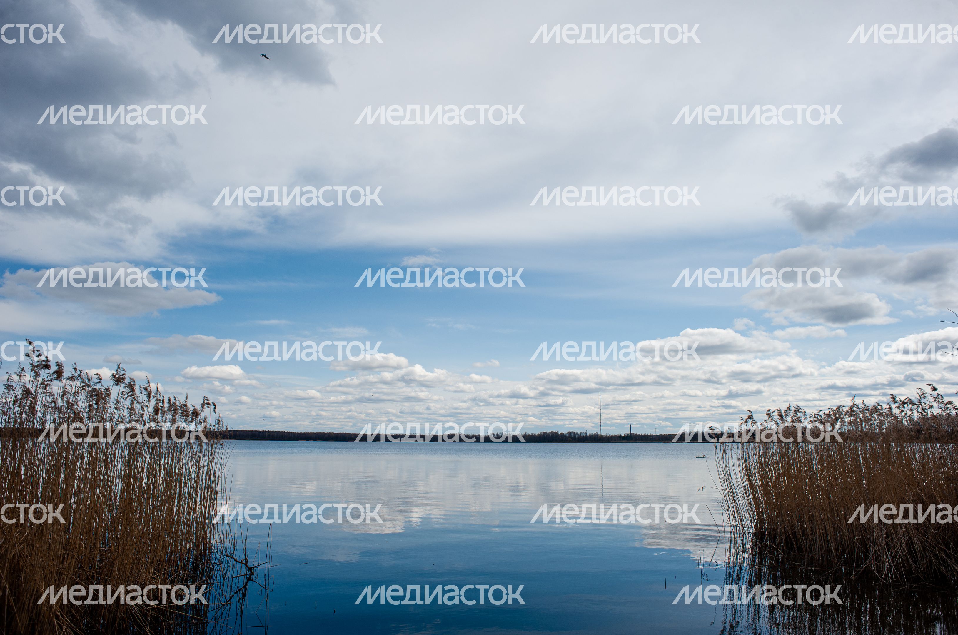 Виды города Шатура