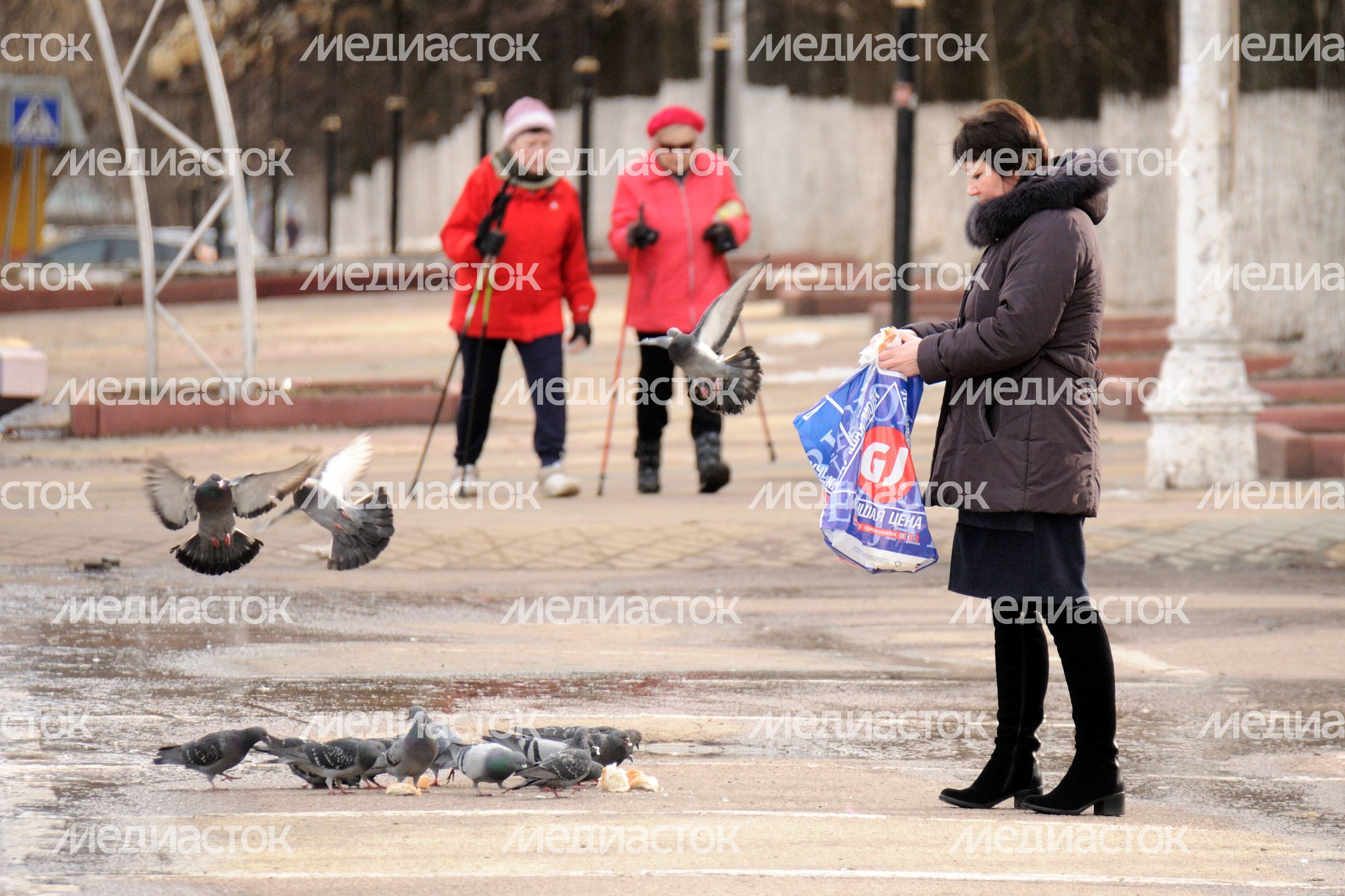 Женщина кормит голубей в Ступино