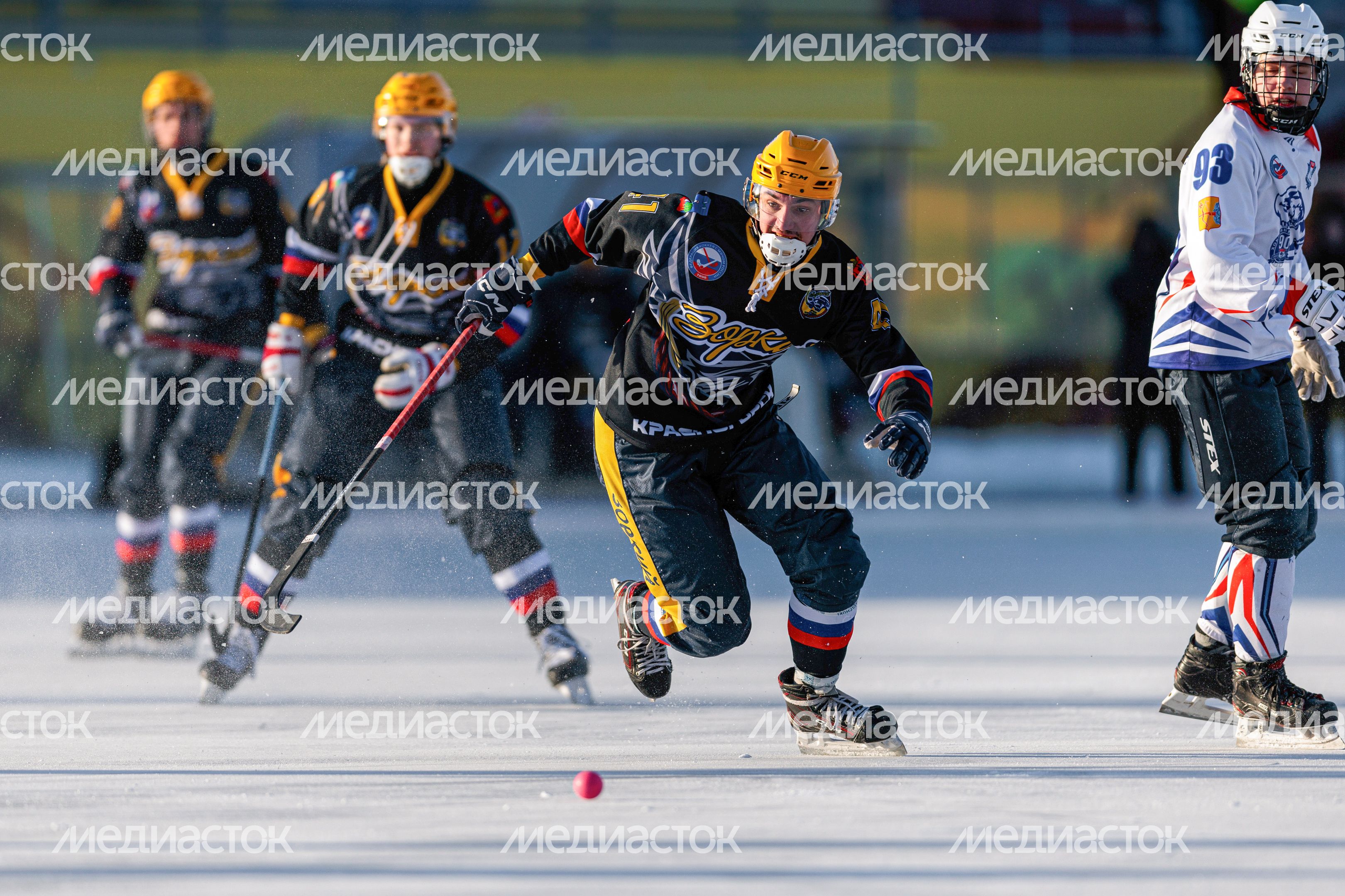 Чемпионат России по хоккею с мячом в Красногорске Чемпионат России по хоккею с мячом в Красногорске