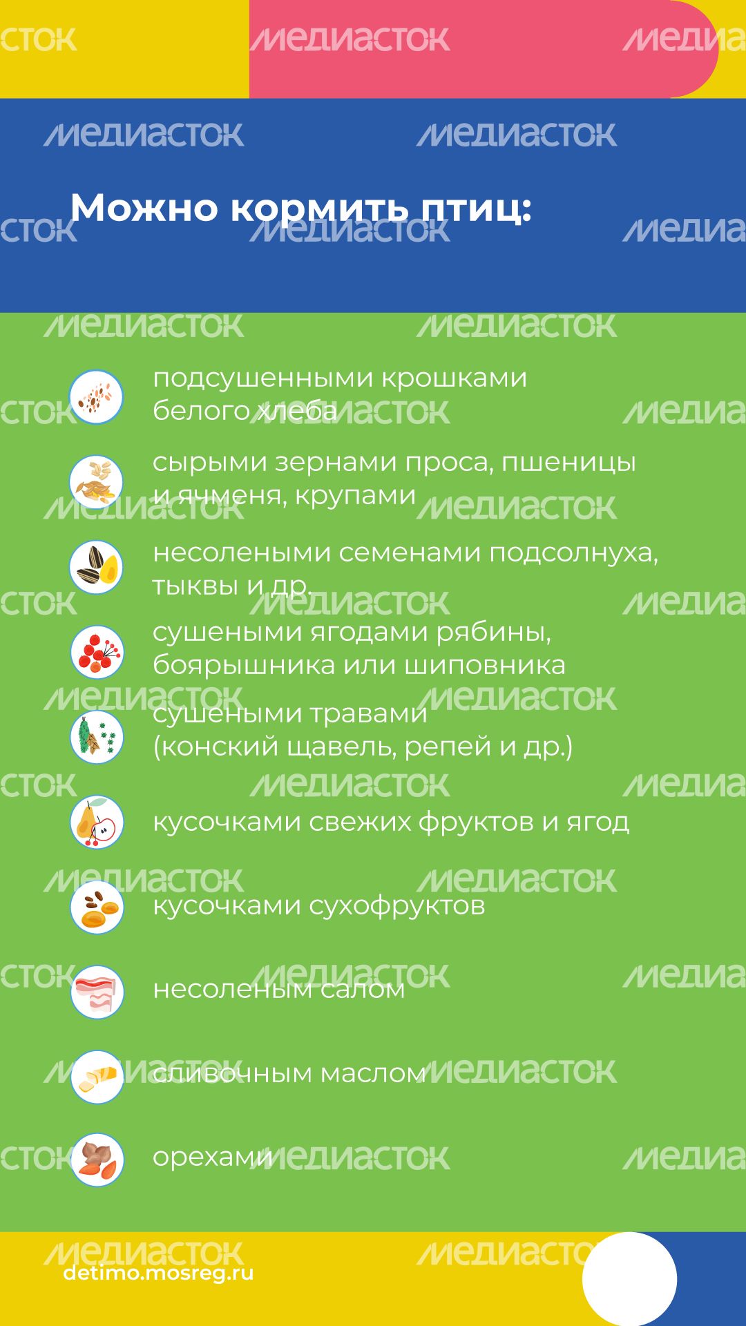 Синичкин_день_вертикаль_04.jpg