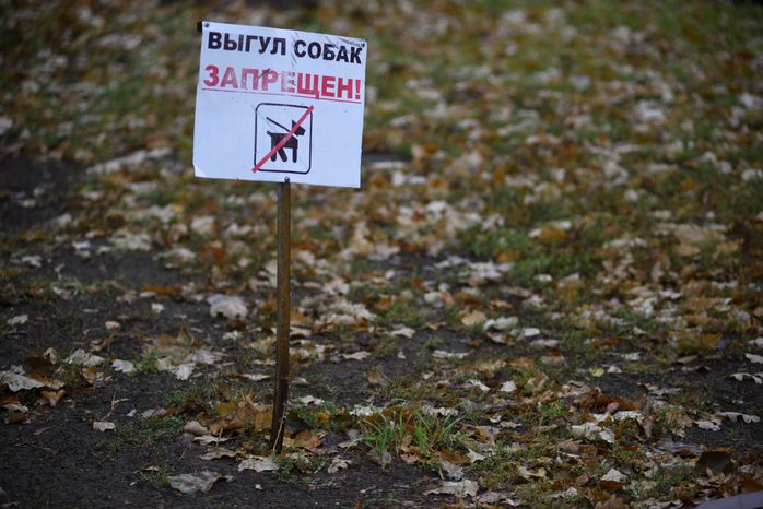 Табличка запрещающая выгул собак в Жуковском