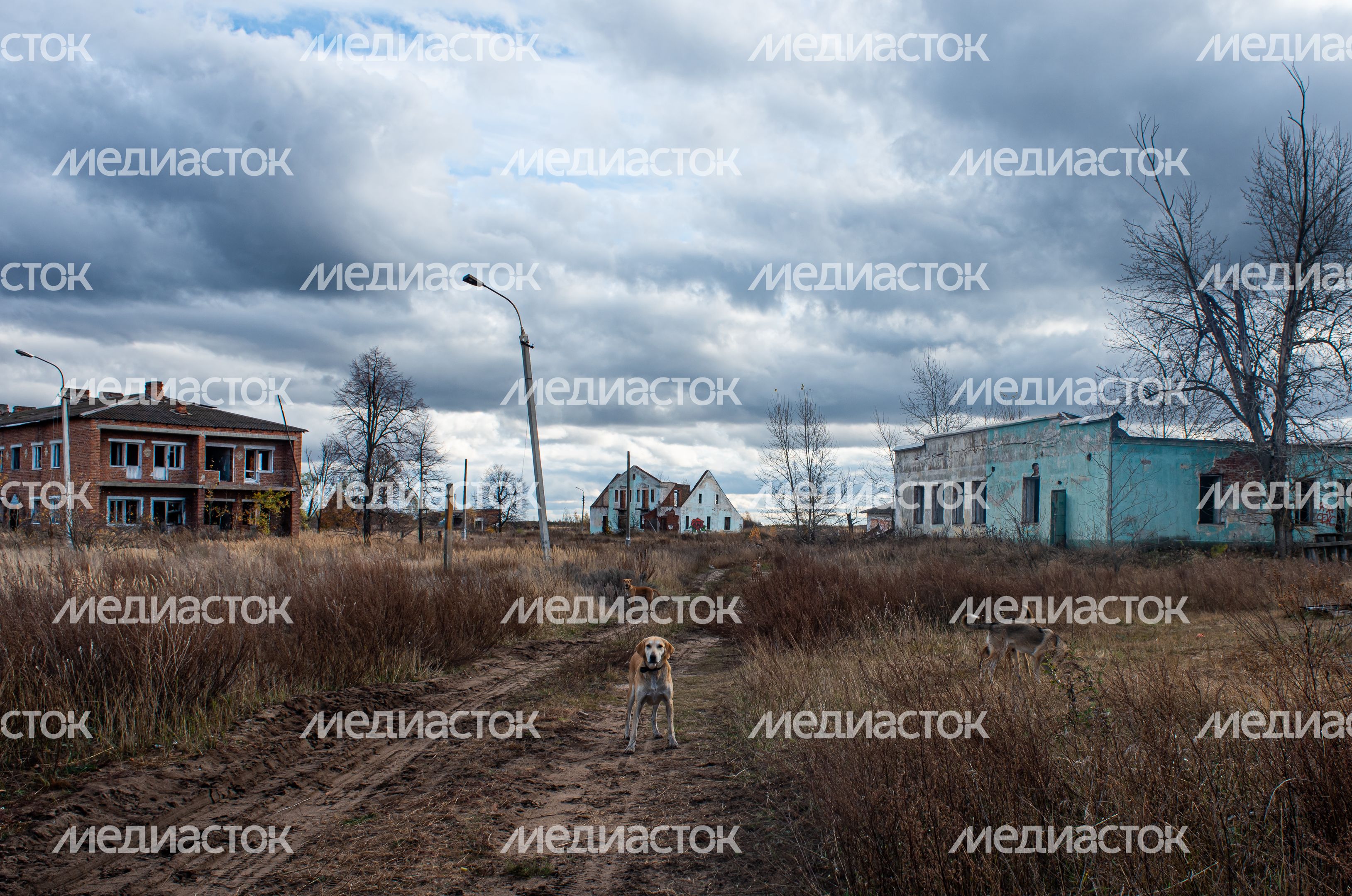 Заброшенная деревня Моховое