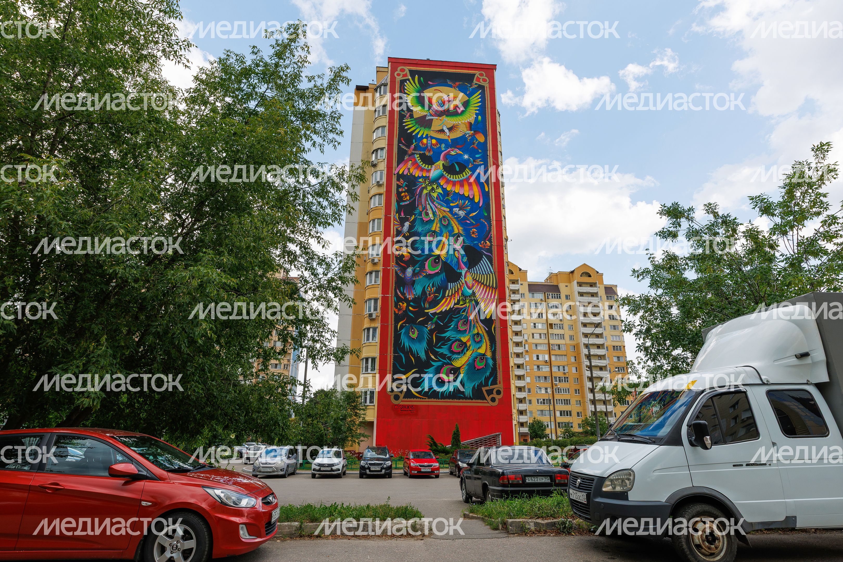 Муралы в Железнодорожном, Балашиха