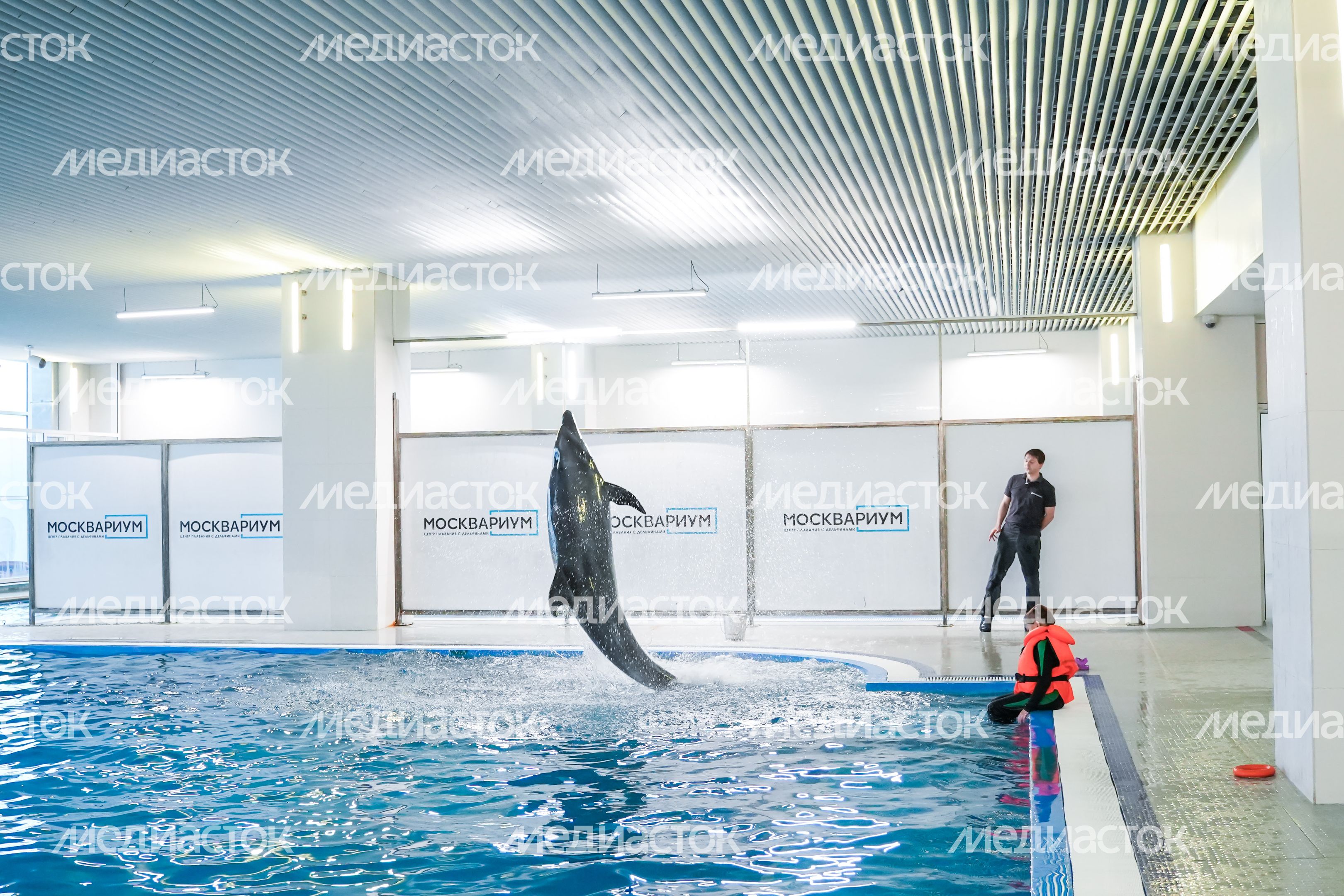 Исполнение мечты ребенка губернатором Подмосковья Исполнение мечты ребенка губернатором Подмосковья