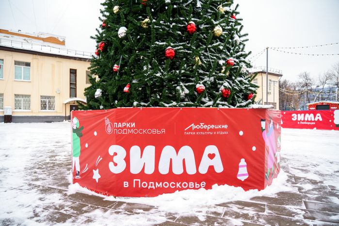 Люберцы. Центральный парк. Зима