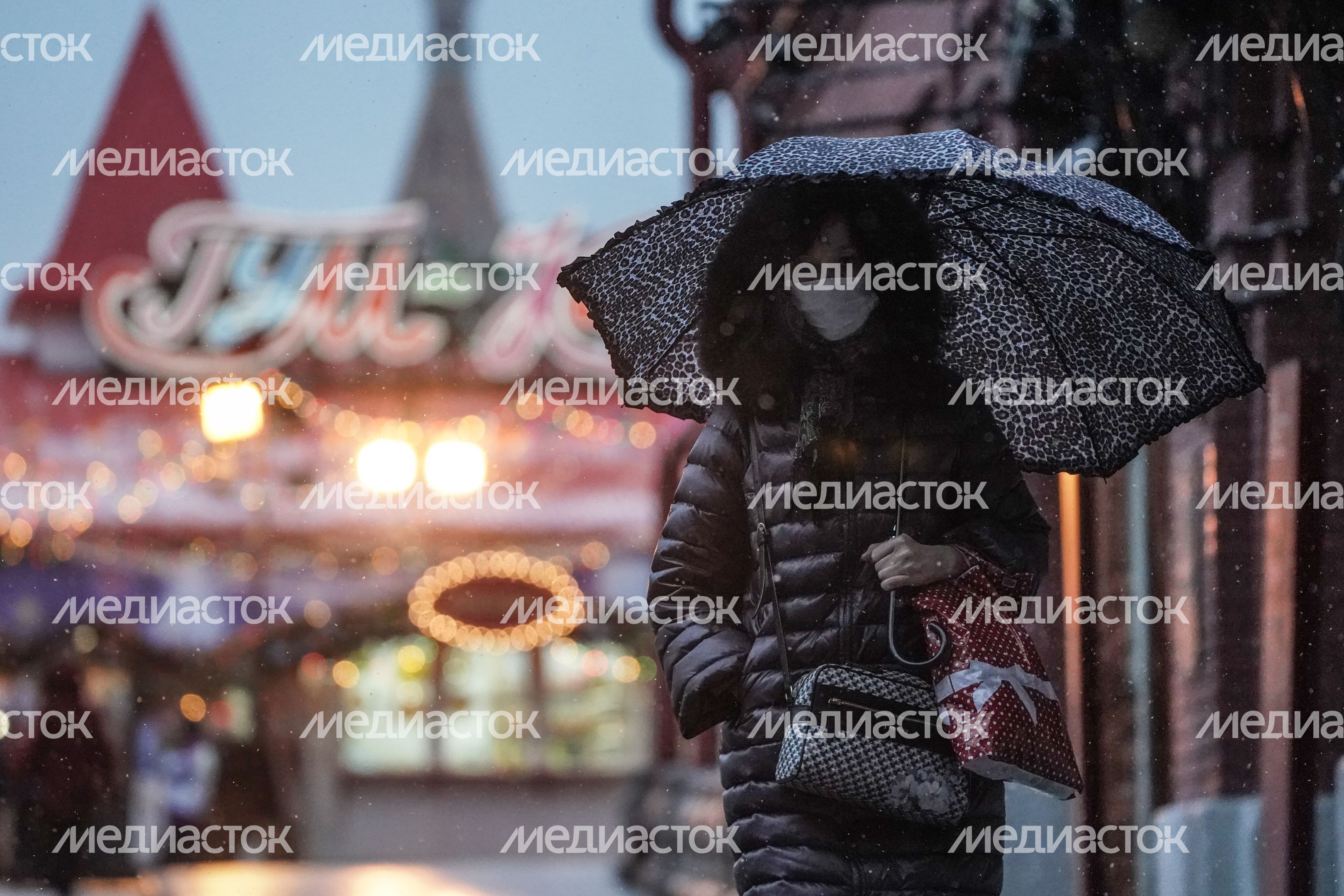Снегопад в Москве