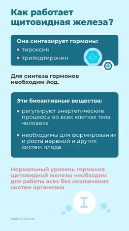 щитовидная железа семь вопросов Вертикаль 03