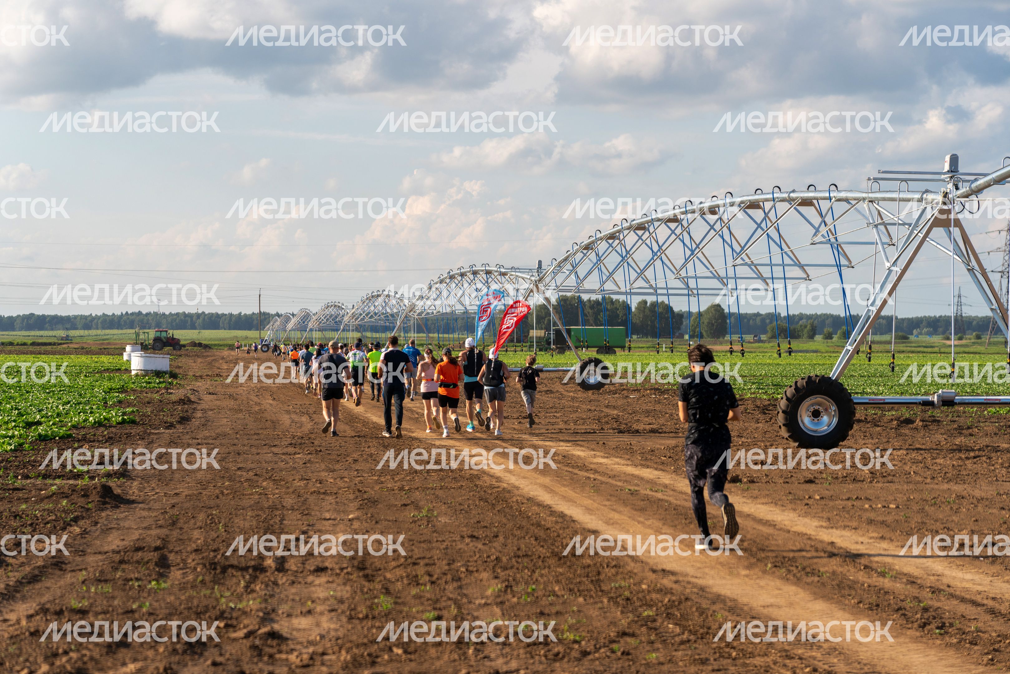 Агрозабег на Дне поля Московской области 2026 в Дмитровском округе