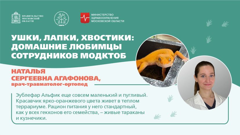 Ушки, лапки, хвостики горизонталь 05