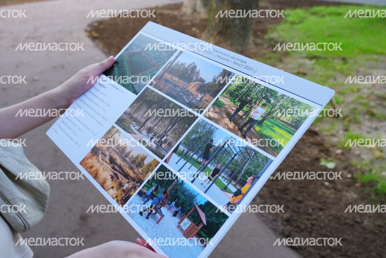 Посещение Фрязинского лесопарка Губернатором Подмосковья