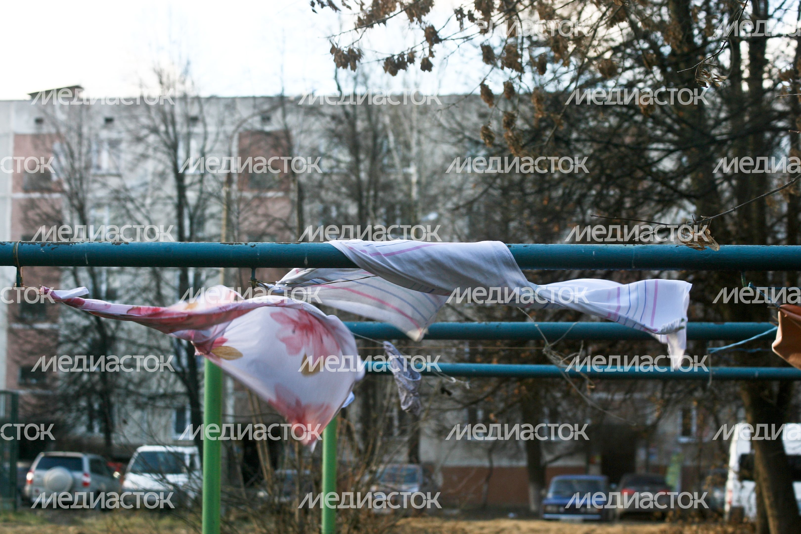 Теплая погода в Кашире Теплая погода в Кашире