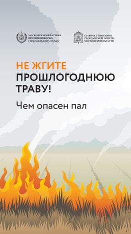 Пал травы