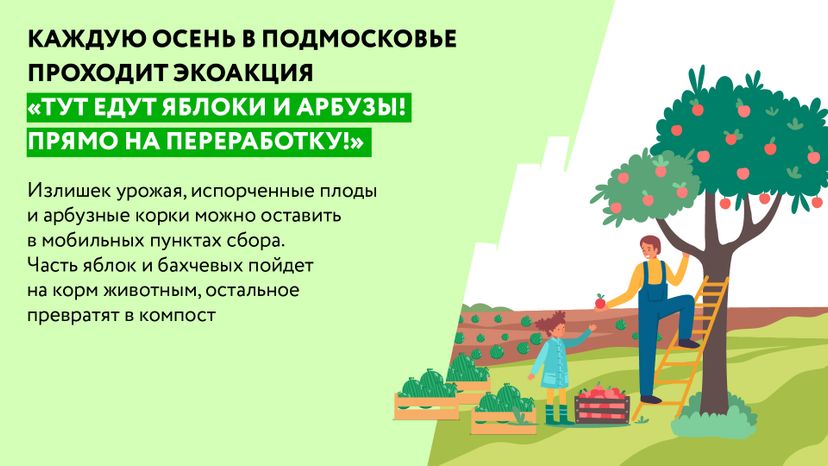 Горизонталь_арбузы_02-100.jpg