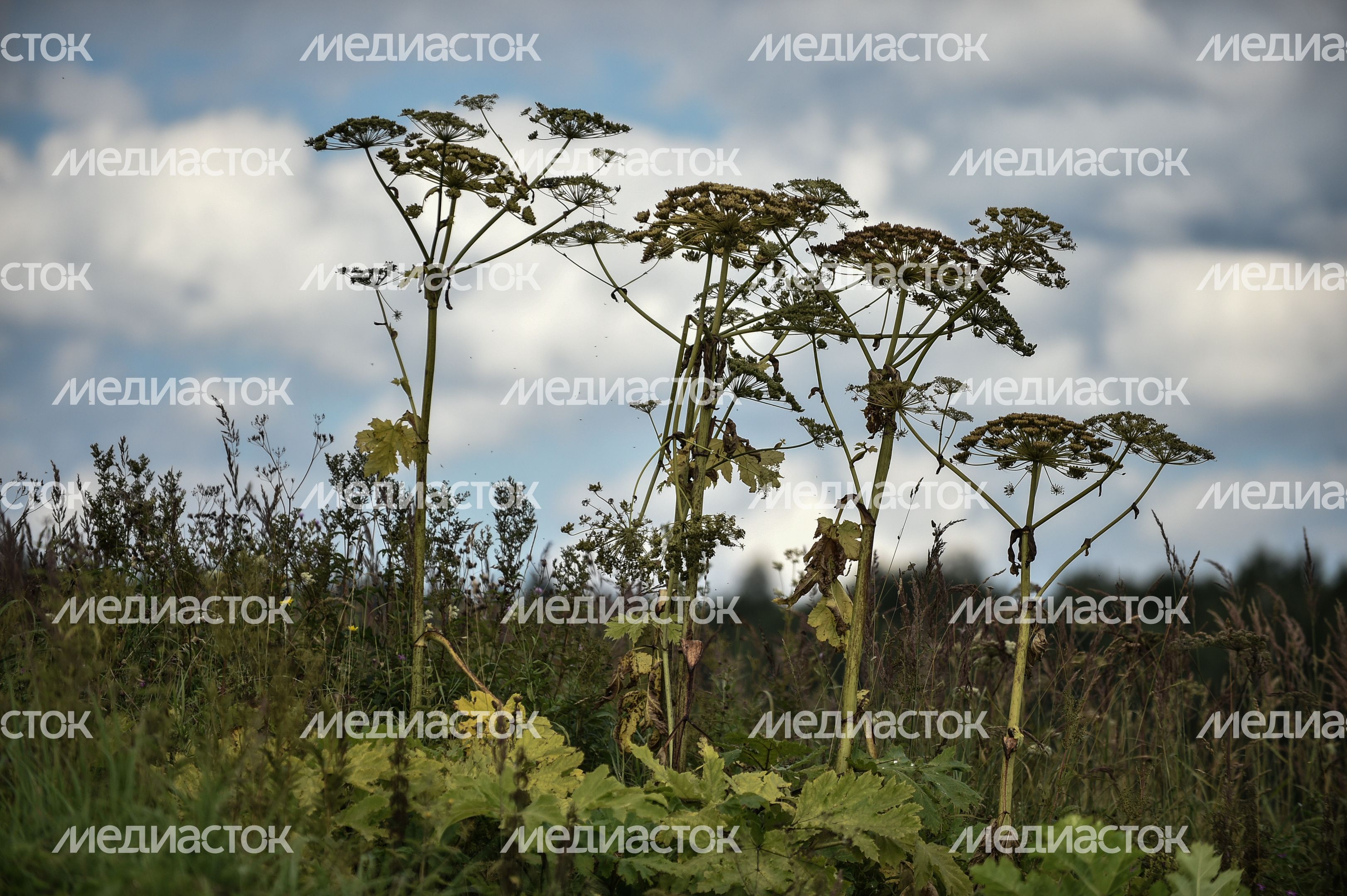Учебные стрельбы гранатометчиков ФСНВНГ России Учебные стрельбы гранатометчиков ФСНВНГ России