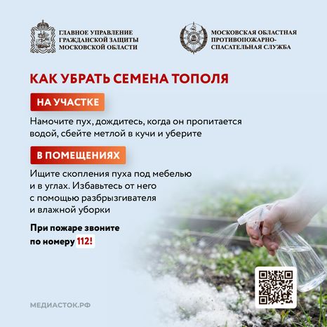 Огнеопасно тополиный пух квадрат 03