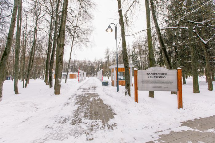 Воскресенск. Усадьба Кривякино. Зима