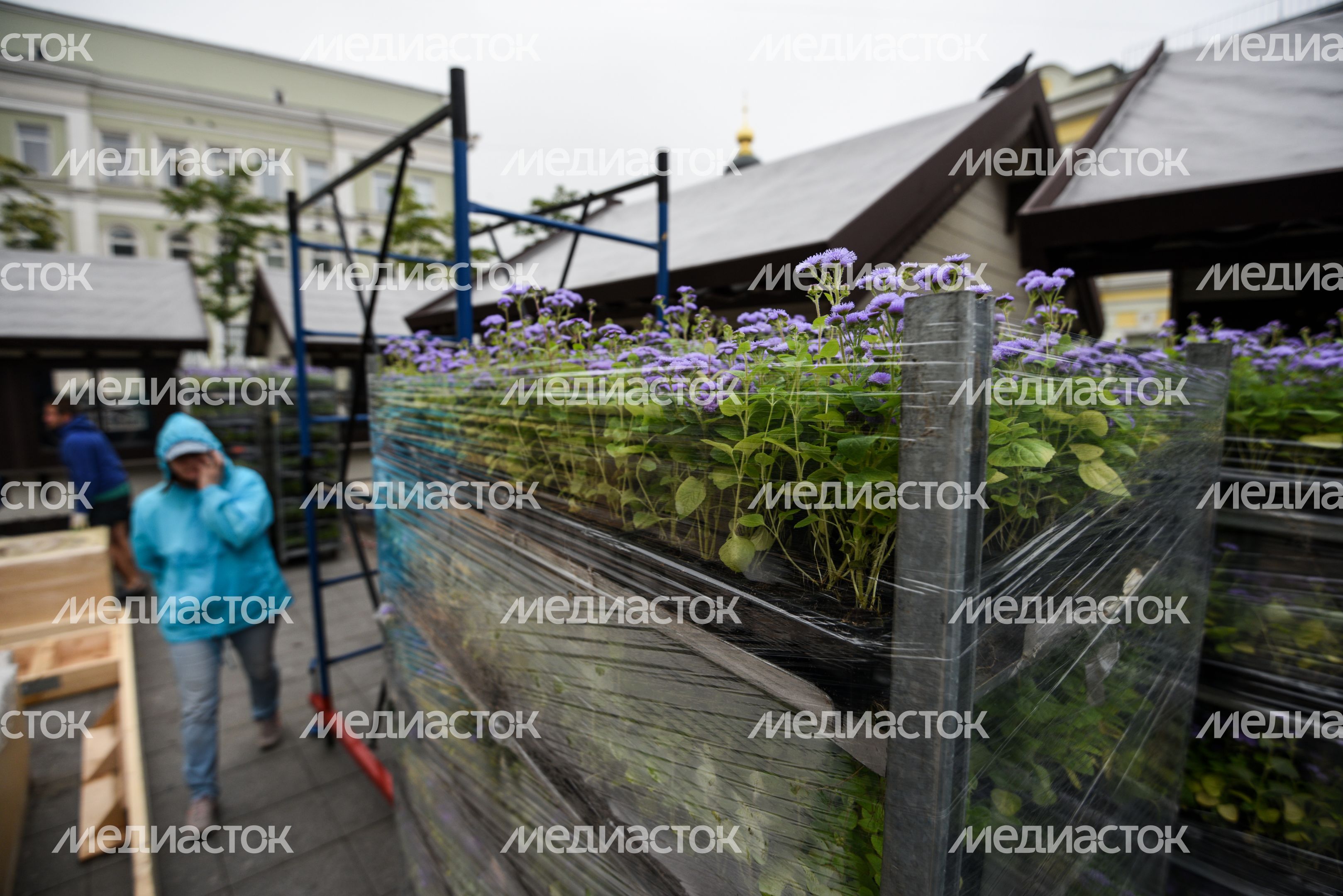 Подготовка площадок нового фестиваля Московское Лето Цветочный Джем