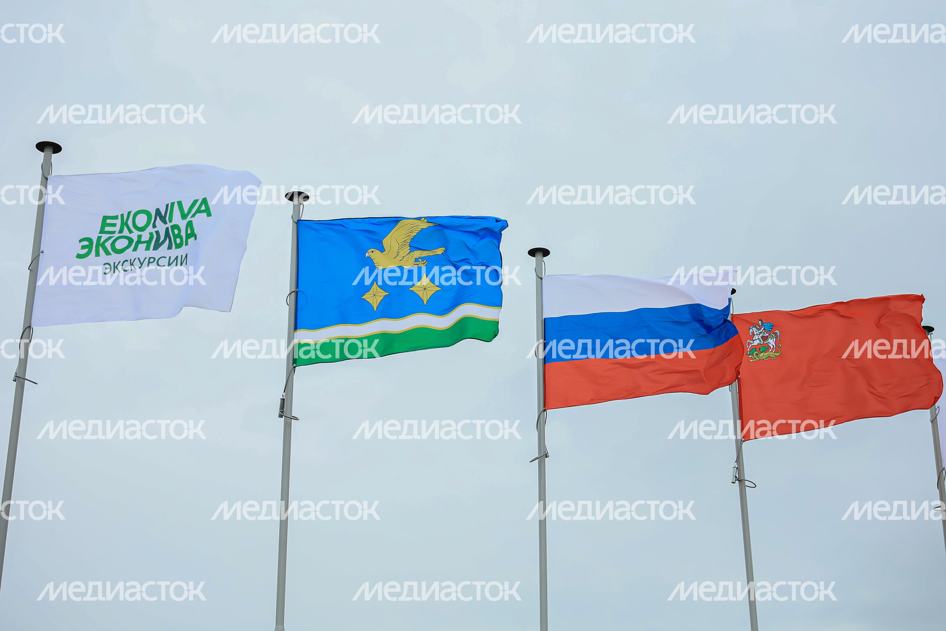 Открытие животноводческего комплекса «Бортниково» в Ступино Губернатором Подмосковья