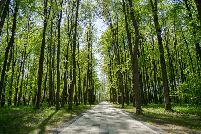 Летний парк культуры и отдыха "Авангард" в Электростали