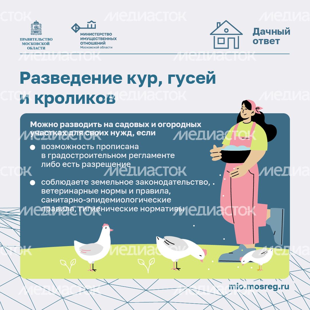 Дачный сезон штрафы-квадрат-09