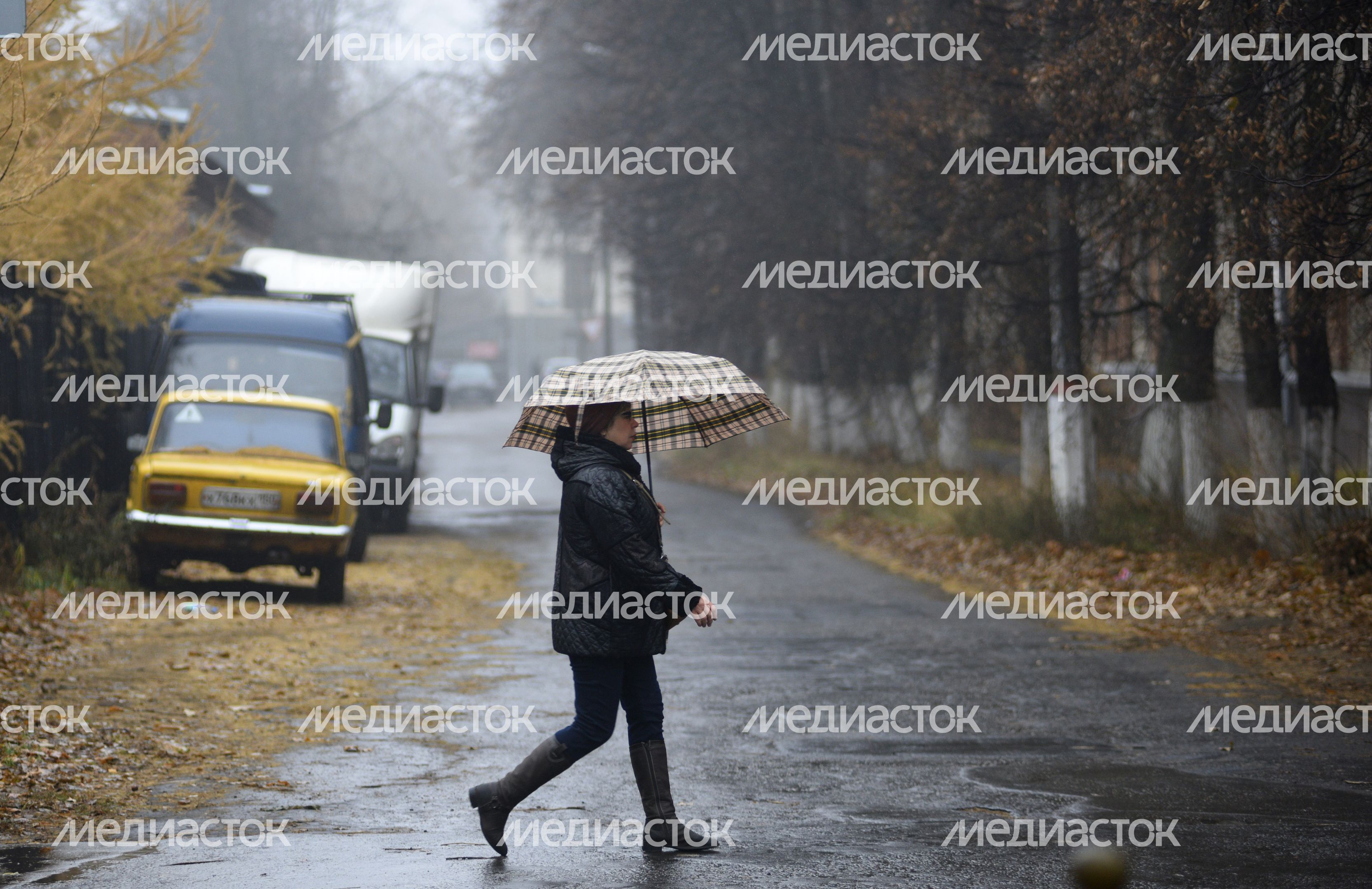 Дождь в Жуковском