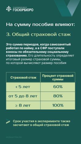 Оплата больничных самозанятым Вертикаль 06