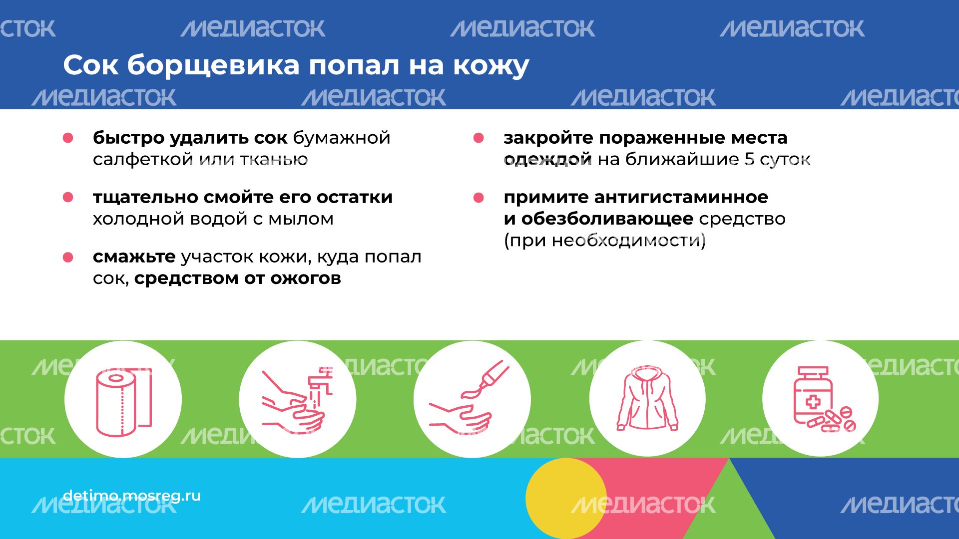 Горизонталь_Борщевик Сосновского_06.png