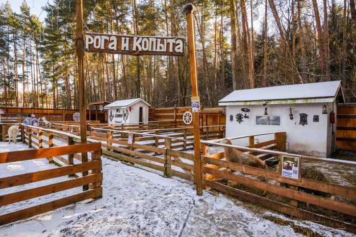 «Веселая экоферма» в парке культуры и отдыха «Елочки» в Домодедово