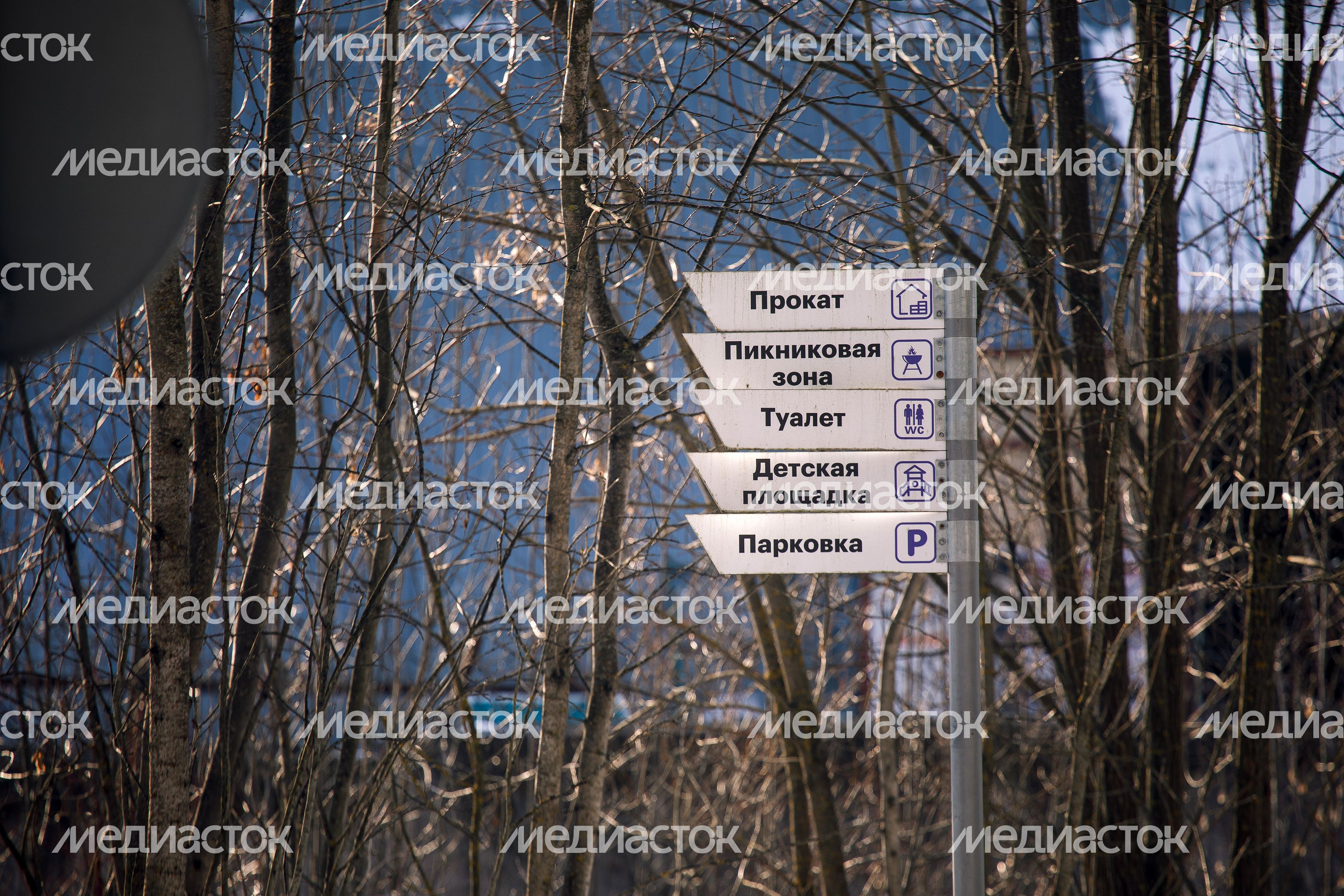 Зимний Мытищинский лесопарк Зимний Мытищинский лесопарк