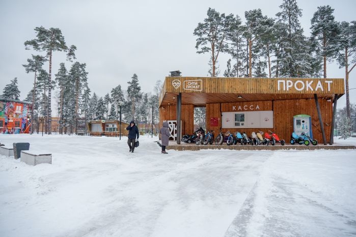 Балашиха. Пестовский парк. Зима