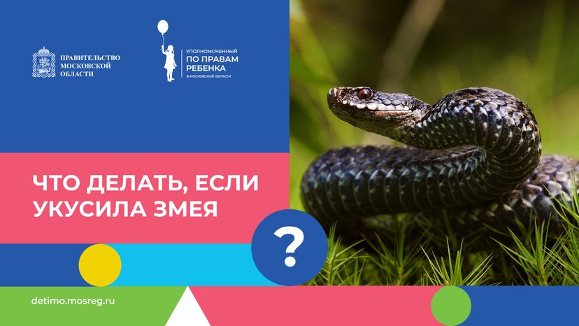 горизонталь что-делать-если-укусила-змея.png