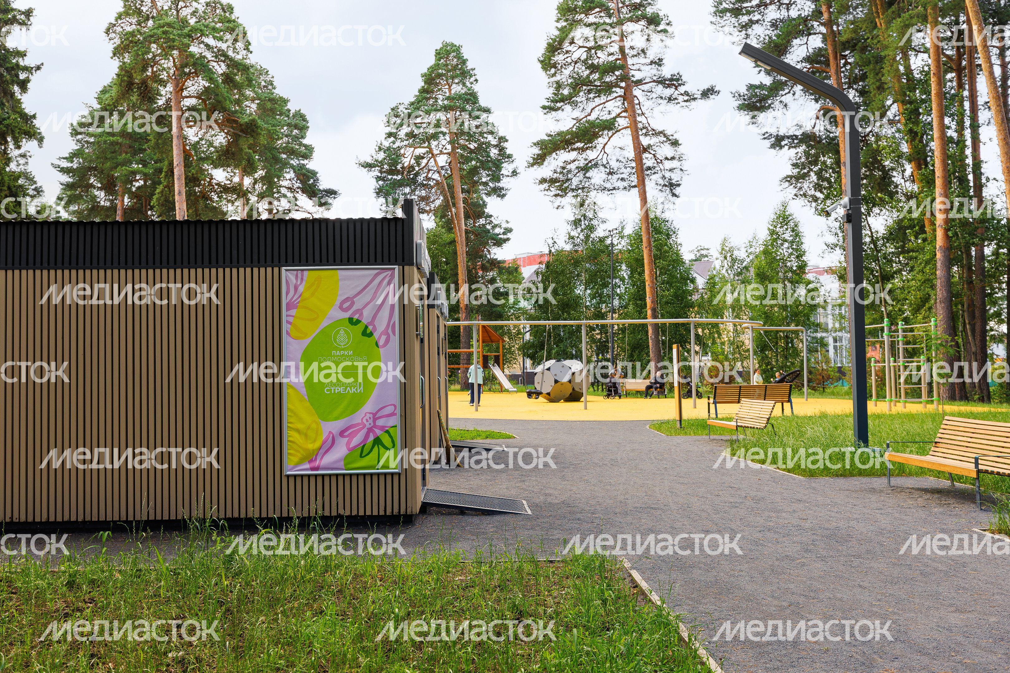 Лесопарк «Стрелки» в Орехово-Зуево летом