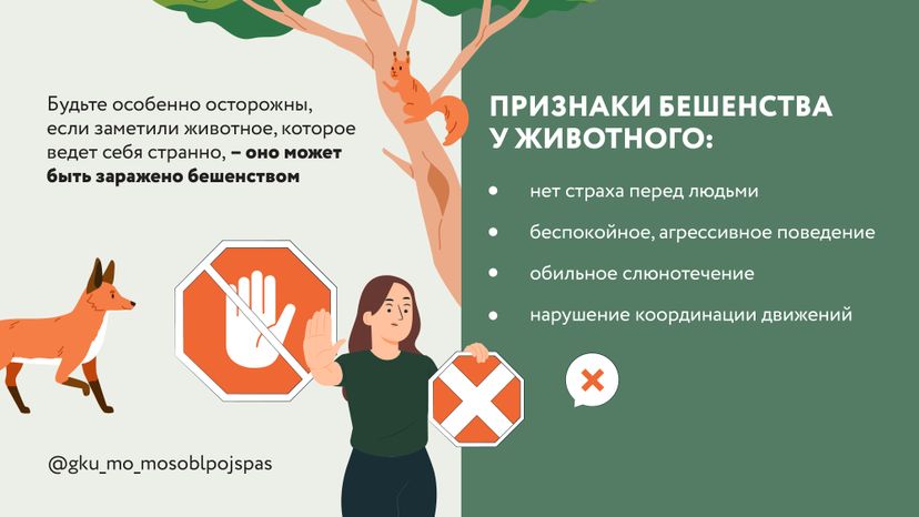 Горизонтали Безопасность в лесу 05.jpg