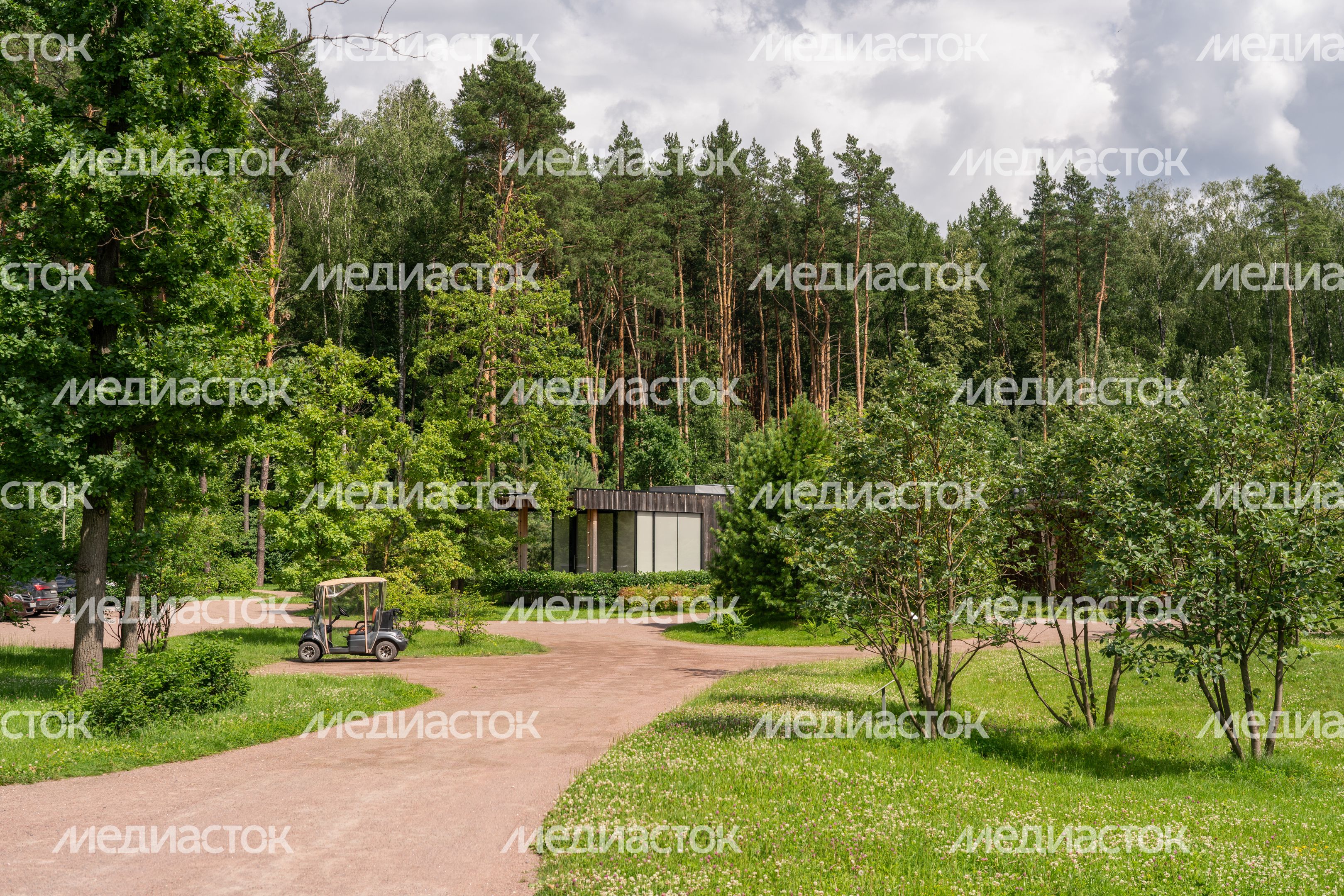Мещерский парк летом