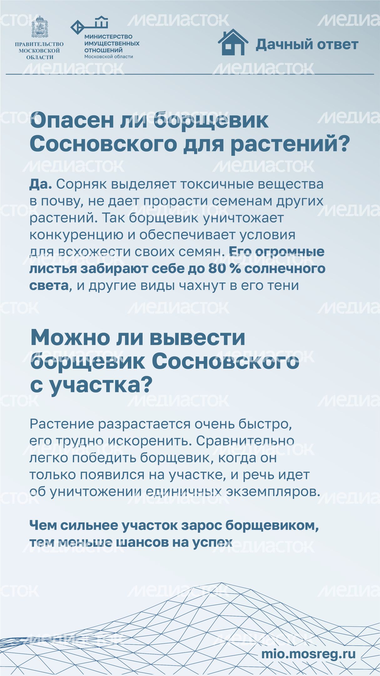 Дачный ответ_борщевик-03.jpg