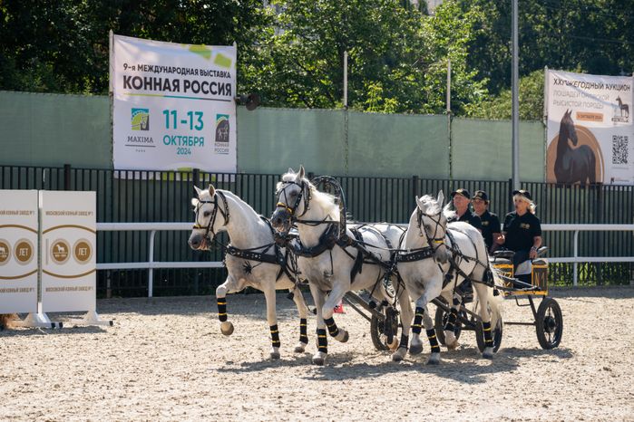 IV Чемпионат русских троек «Крылатое сердце России» в Одинцовском округе