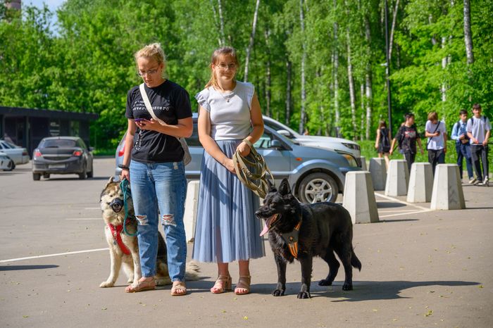 Выездная акция по чипированию и вакцинации животных в парке «Взлет» Домодедово