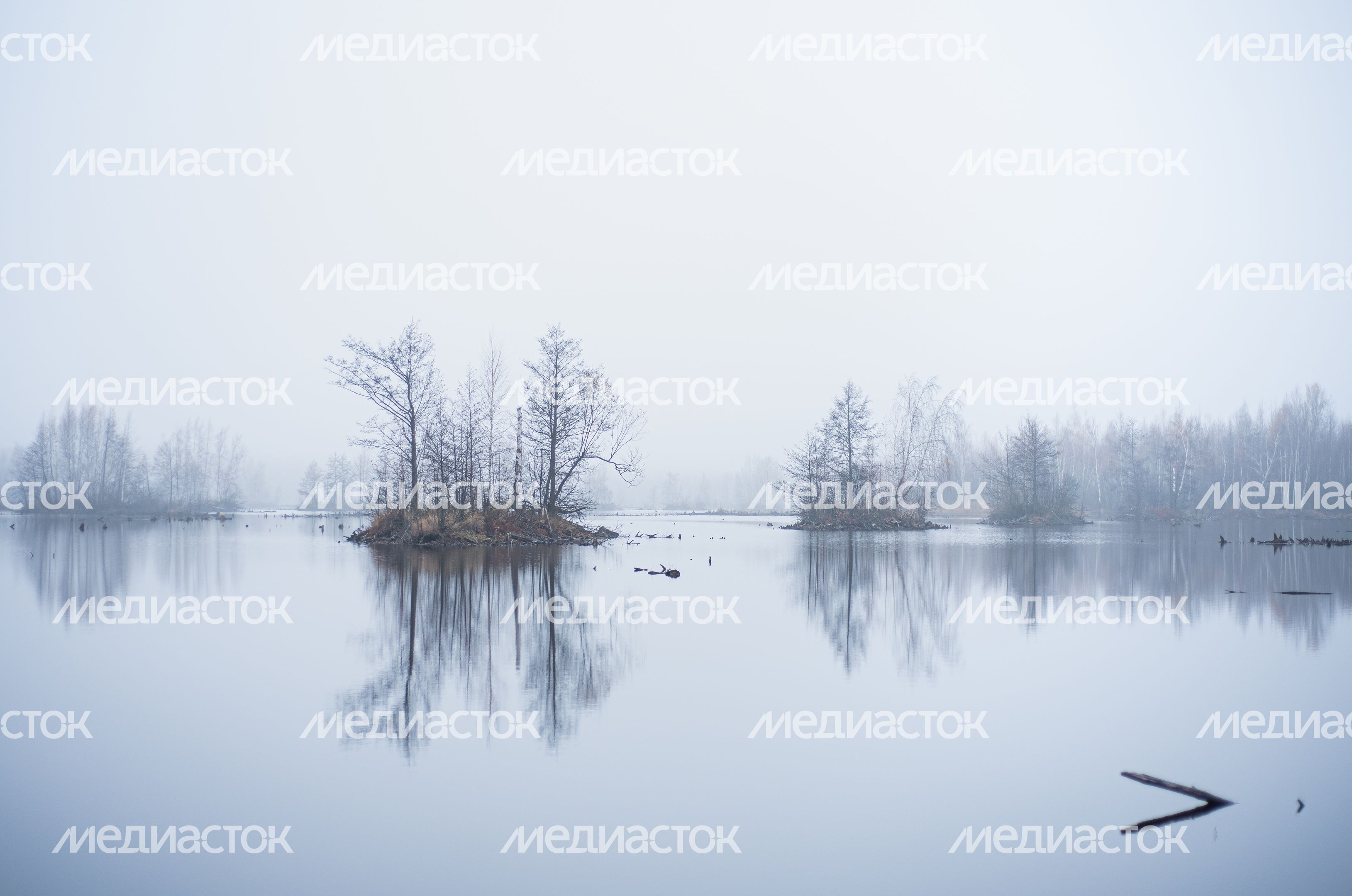 Шатурские болота