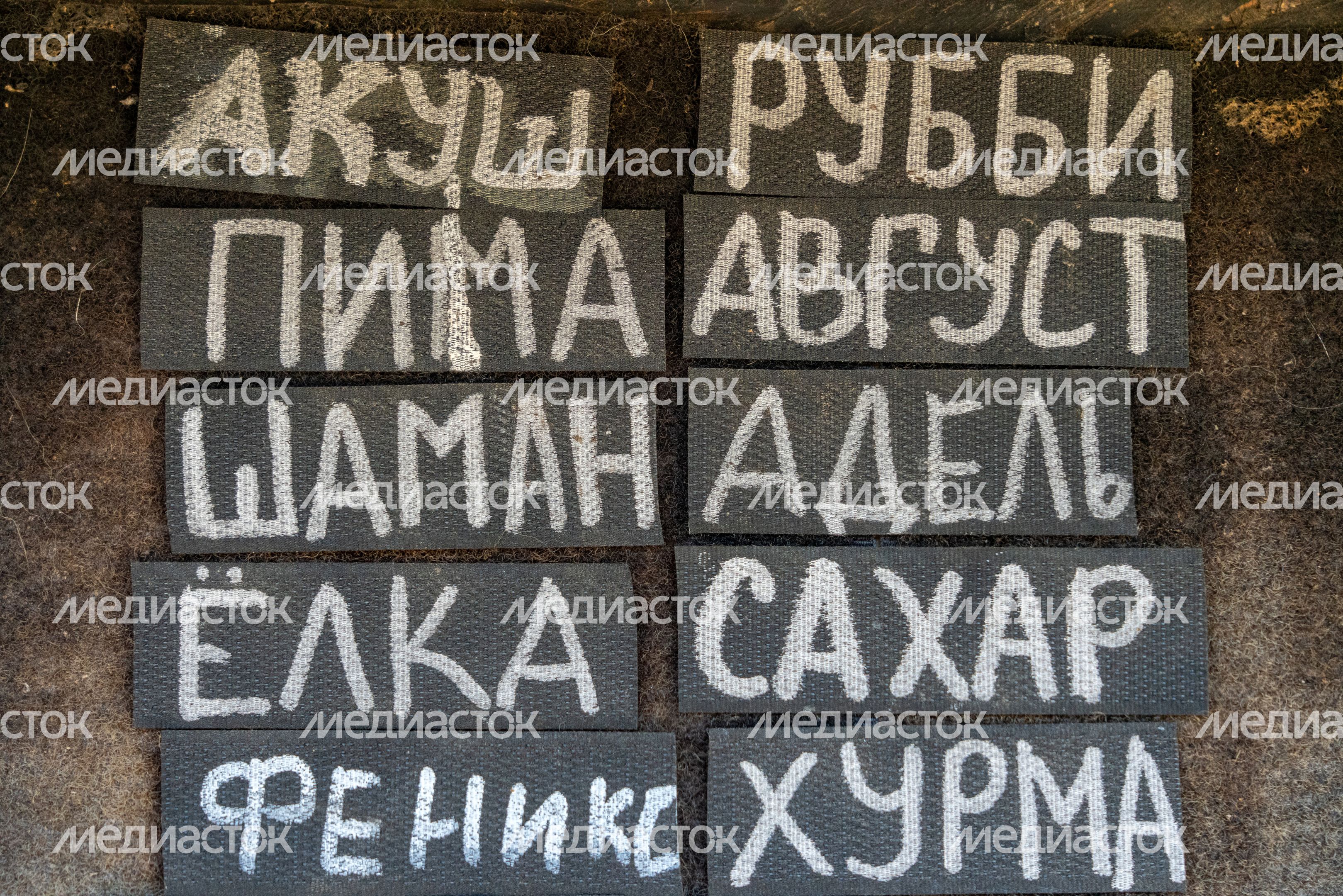Хаски-деревня "Рузская Аляска". Лето