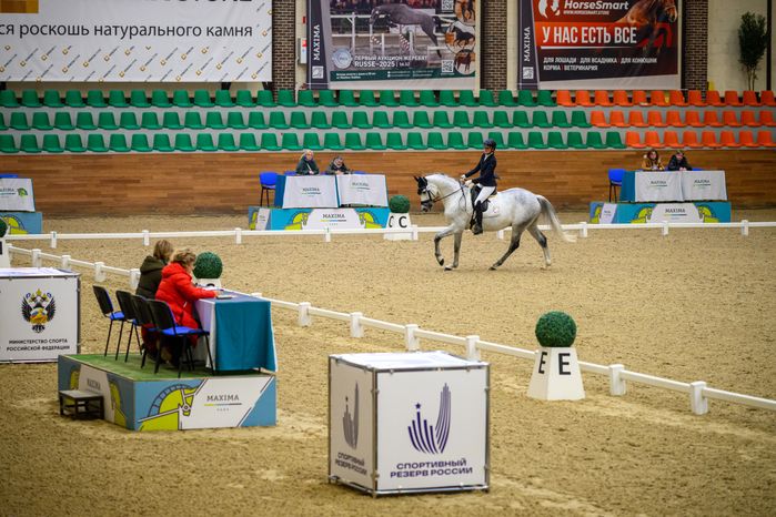 Кубок России по выездке лошадей в «Максима парке» Дмитровского округа