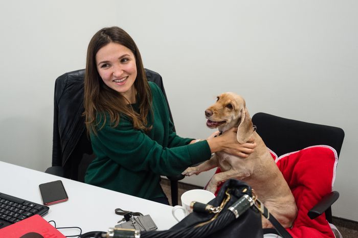 Pet‑friendly офис Purina