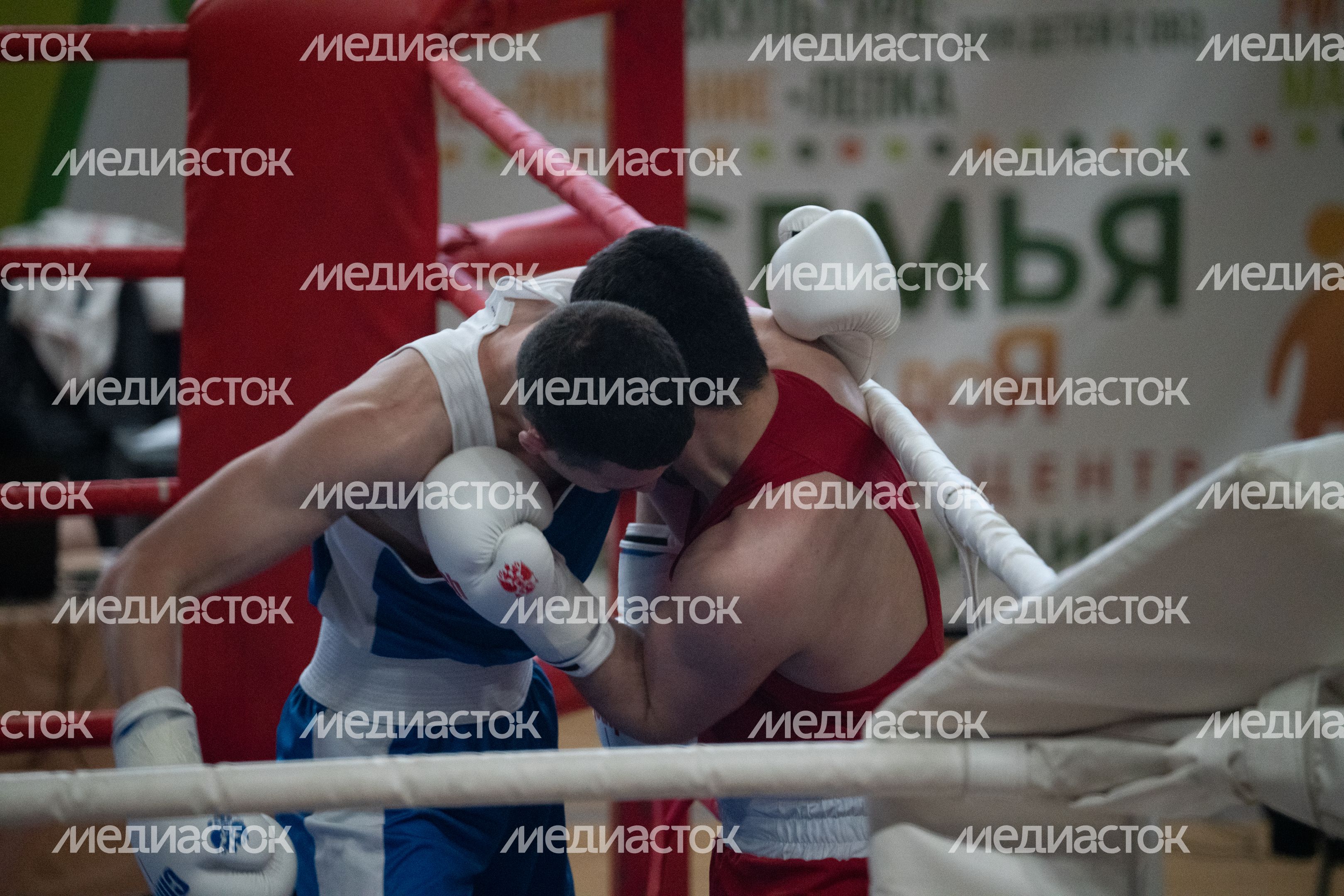 Чемпионат МО по боксу