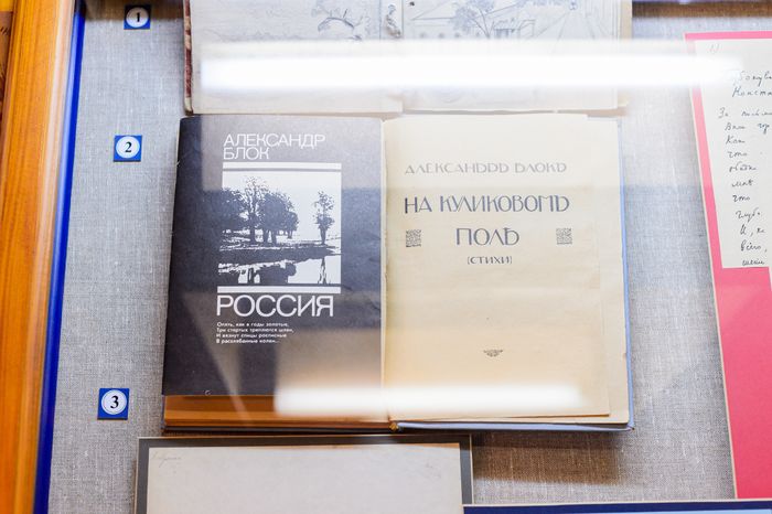Солнечногорск. Выставка «Жизнь без начала и конца» в усадьбе Тараканово