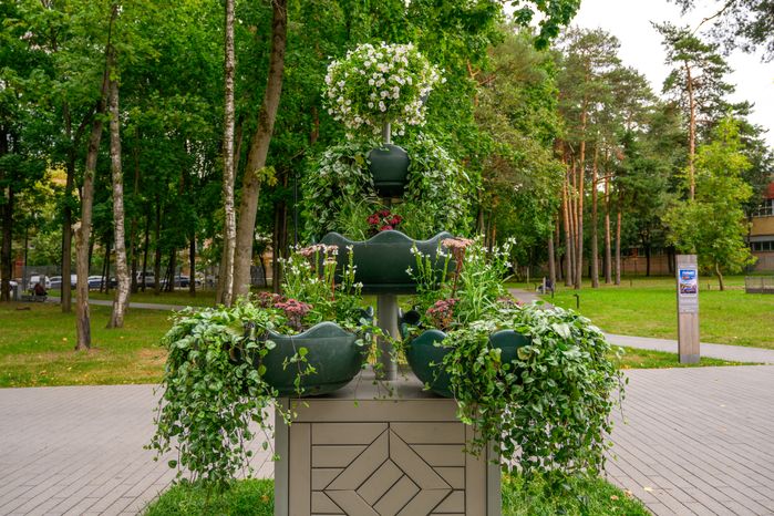 Центральный парк культуры и отдыха Жуковского летом