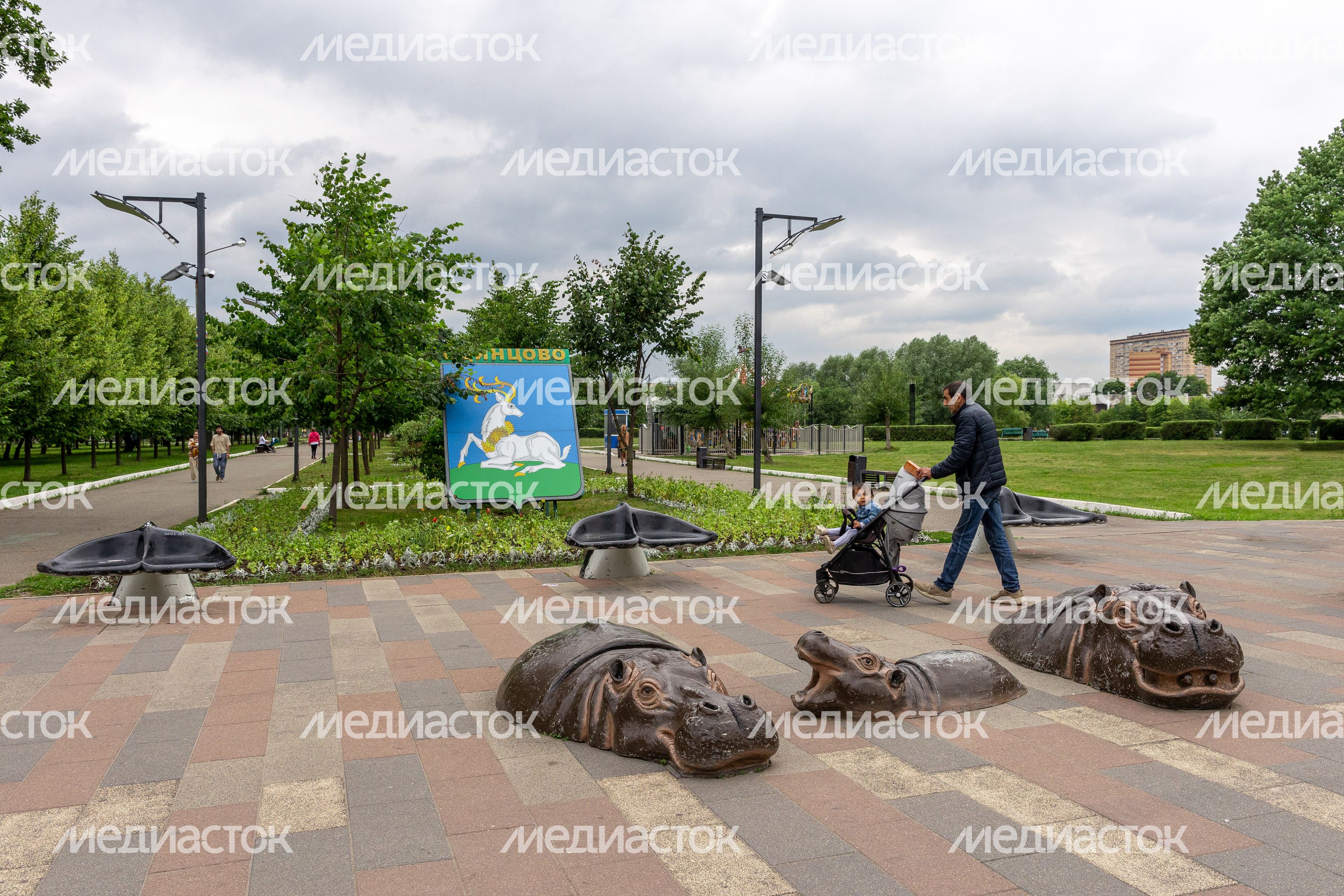 Бегемоты