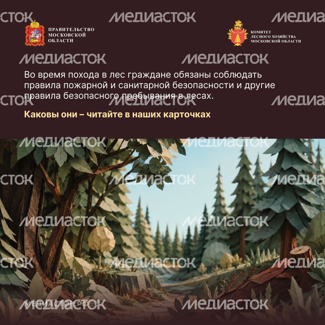 Пребывание граждан в лесах квадрат 02