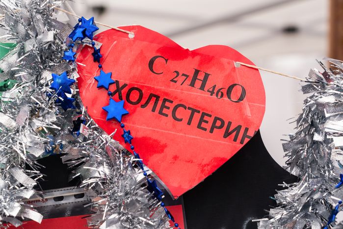 Гастрономический фестиваль «Русский холодец» в Павловском Посаде